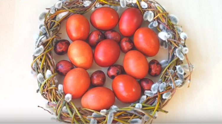 как покрасить перепелиные яйца в луковой шелухе