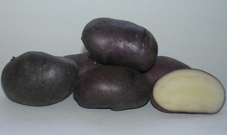 Самые вкусные сорта картофеля 