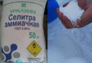 аммиачная селитра удобрение