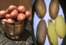 как сварить картошку в мундире