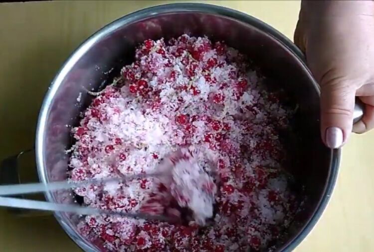 как сделать желе из красной смородины и малины