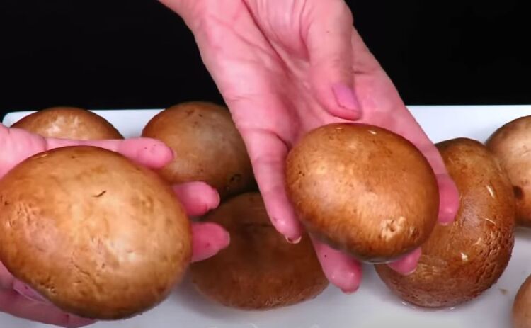 Houby žampiony pečené v troubě s kuřecím masem