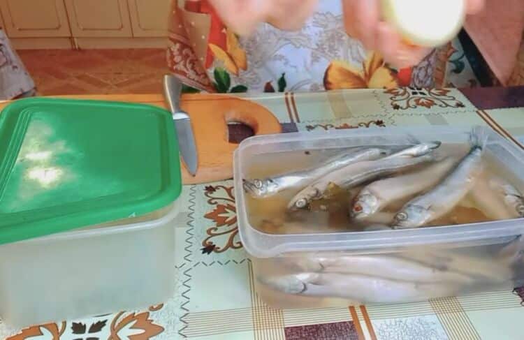 как солить мойву в домашних условиях в рассоле целиком