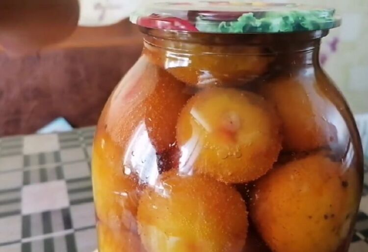Сливы в сиропе с косточками на зиму