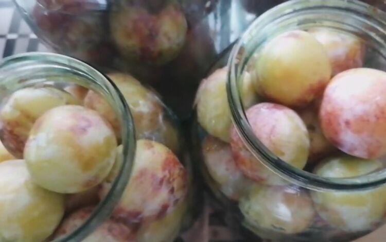 Сливы в сиропе с косточками на зиму