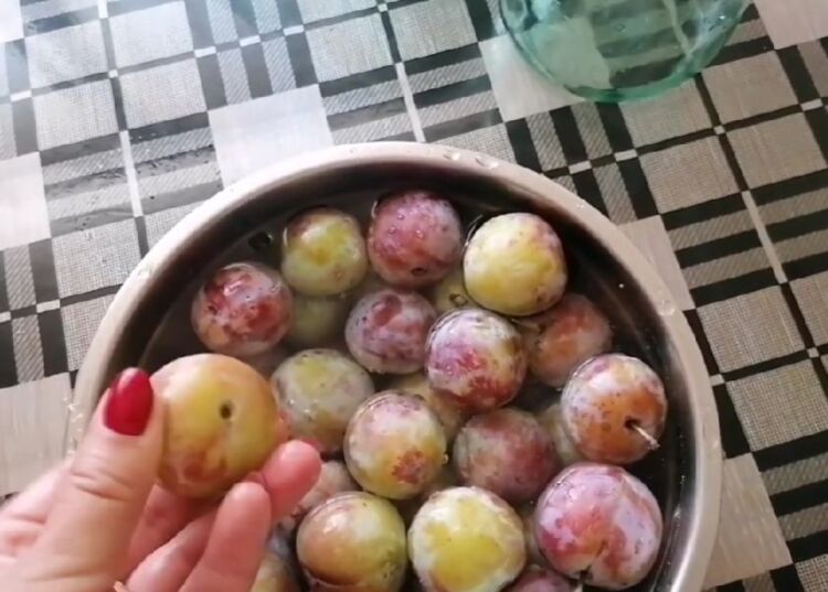 Сливы в сиропе с косточками на зиму